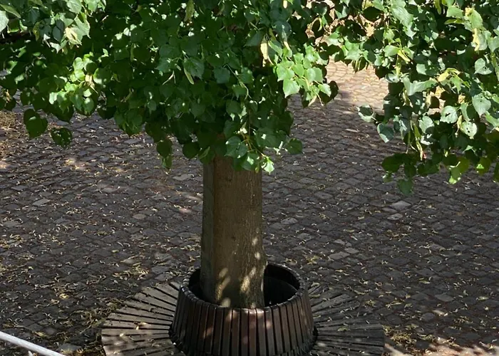 In An Der Mosel * Alf